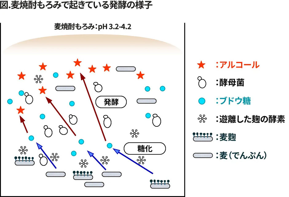 （作：下田雅彦）
