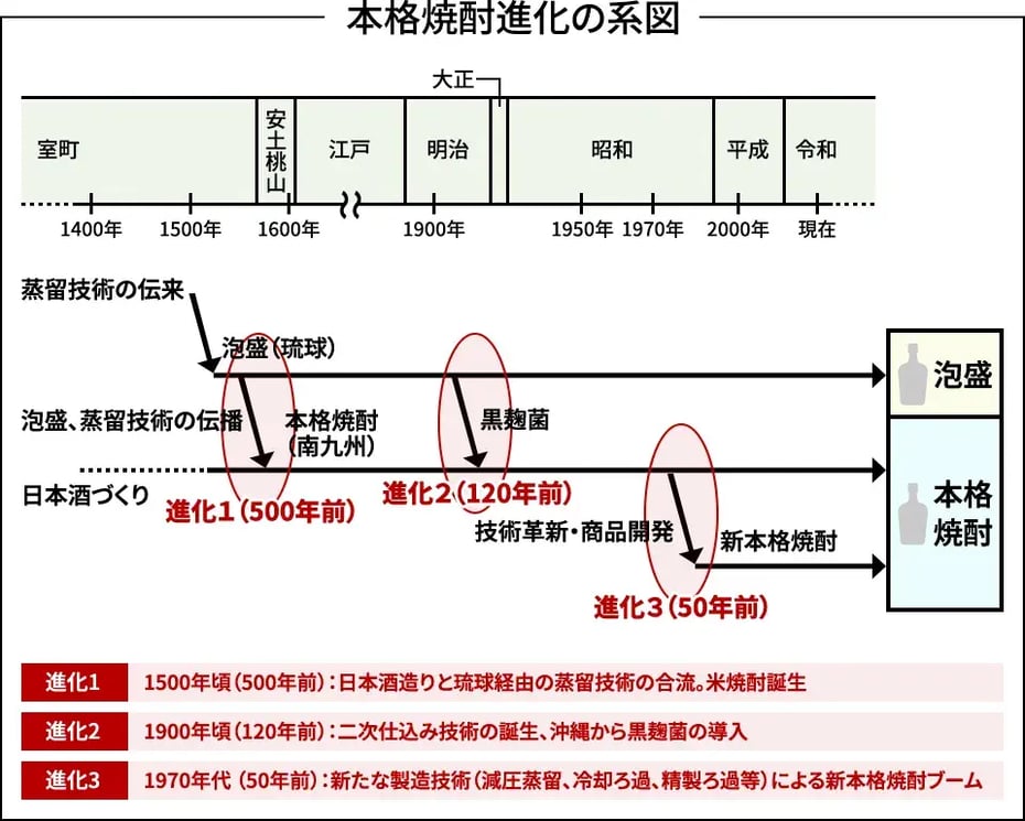 本格焼酎進化の系図（作：下田雅彦）