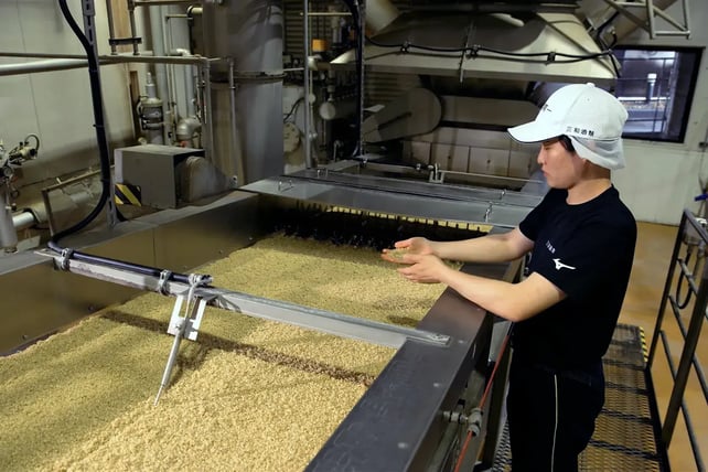 How Honkaku Shochu Is Made: “First Koji” (Part 1) — The First Step Toward Crafting Exceptional Honkaku Shochu