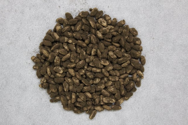 （写真提供：独立行政法人酒類総合研究所）